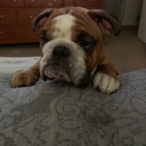 Meet your Posher, Chris